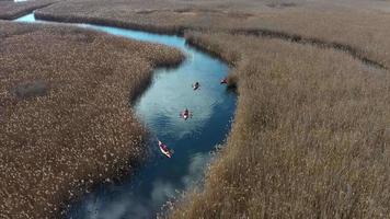 Orange kayaks paddle through wildlife marsh stream video