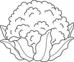 Cauliflower Vegetable Isolated Coloring Page vector