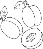 Plum Fruit Vegetable Isolated Coloring Page vector