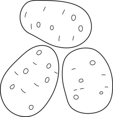 Potato Coloring Vector Art, Icons, and Graphics for Free Download
