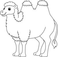 Bactrian Camel Animal Isolated Coloring Page vector