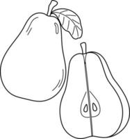 Pear Fruit Isolated Coloring Page for Kids vector