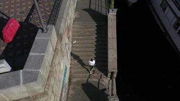 ejercicios de mujer subiendo escaleras de hormigón al aire libre video
