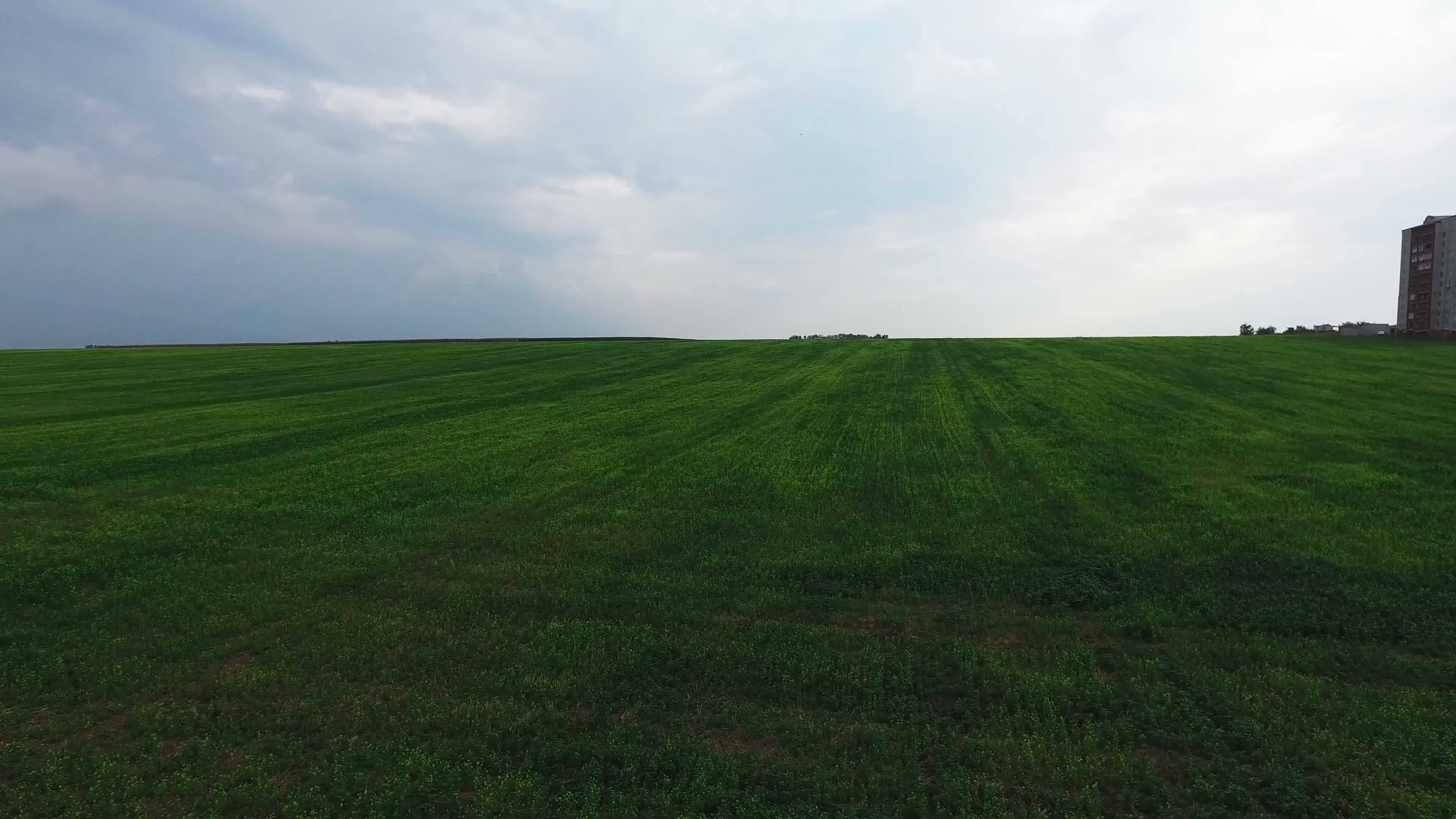 Green open fields near Kyiv, Ukraine 11487280 Stock Video at Vecteezy