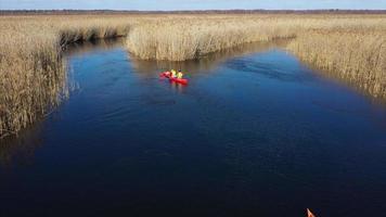 Orange kayak paddles through wildlife marsh stream video