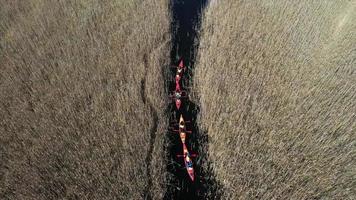 des kayaks orange pagayent à travers le ruisseau des marais de la faune video