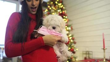 Kerstmis meisjes met hond Bij huis video