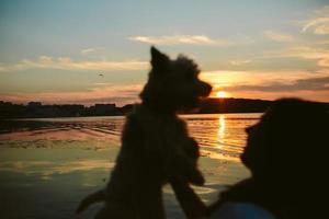 Girl and dog on the lake photo