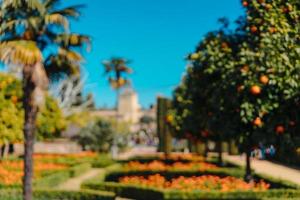 Summer garden with palm trees photo