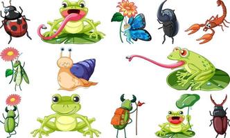 Set of various insects and amphibians cartoon vector