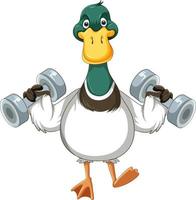 Cute duck cartoon character workout using dumbbell vector
