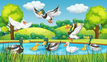 escena al aire libre con patos de dibujos animados vector