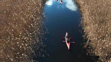 Orange kayaks paddle through wildlife marsh stream video