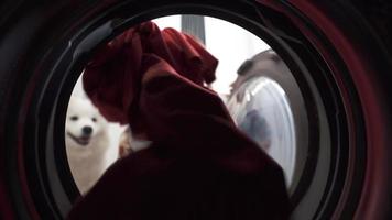 vista del interior de la secadora mientras la mujer seca la ropa en casa video