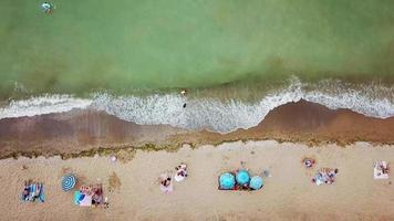 Aerial view of beach shore with people and blue umbrellas video