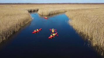 Orange kayaks paddle through wildlife marsh stream video