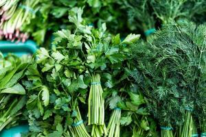 Dill and parsley. Useful herbs close up photo