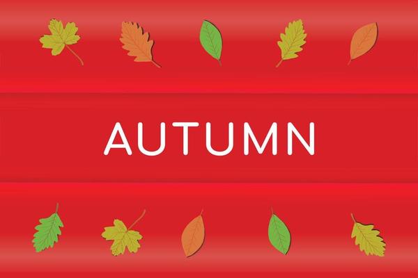 Autumn leaves background graphic