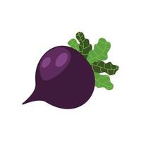 Beets in their natural state, with their leaves. Illustration in vector format White background isolated.