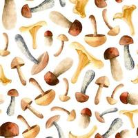 Mushroom seamless watercolor Pattern for fabric or wrapping paper. Hand drawn vector autumn texture. Botanical Fall illustration for textile on white isolated background