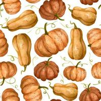 Pumpkin seamless watercolor Pattern with Fall vegetables on white isolated background. Autumn rustic vector texture for Thanksgiving day or Halloween. Hand drawn illustration for textile