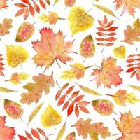 Autumn Leaves seamless Pattern. Watercolor hand drawn vector print with Fall plants on white background for backdrop or textile design. Yellow Oak and orange Maple Leaf