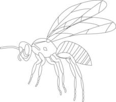 Wasp isolated on a white background. A wild insect. Outline. Vector illustration