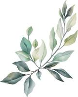 Leaves, flowers in watercolor for decoration. Lime green and gray color. vector