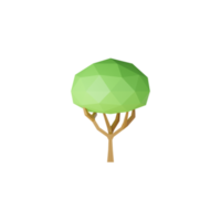 árvore verde isolada 3D png