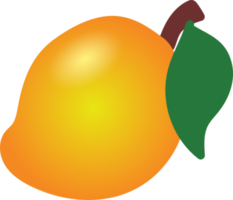 ett illustration av söt mango frukt hand dragen tecknad serie png