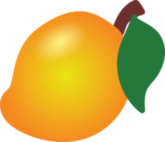 una ilustración de dibujos animados lindos dibujados a mano de fruta de mango png