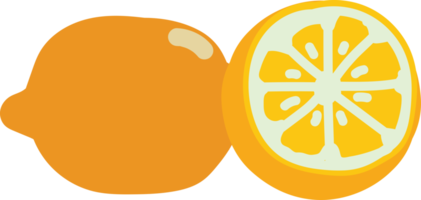 ilustración de dibujado a mano de fruta de limón png