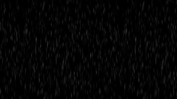 Rain Black Background Stock Video Footage for Free Download