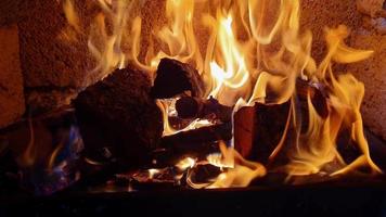 fogo de churrasco em chamas com madeiras em chamas video
