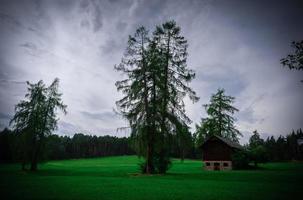 Tiny house in the woods on the mountains during a cloudy gloomy day and trees around photo