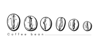 Bunch of coffee beans lined up horizontally in line art style vector