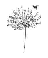 Bee approaches the flowers, black and white vector line art