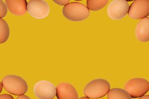 Frame of raw eggs photo