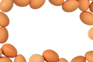 Frame of raw eggs photo