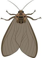 Moth top view 2d illustration vector