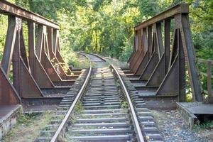 puente ferroviario en el bosque foto