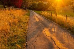 road in autumn photo