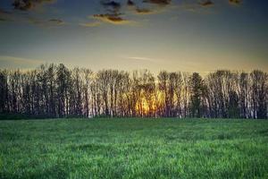 The setting sun behind trees photo