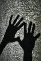 Two shadows hands photo