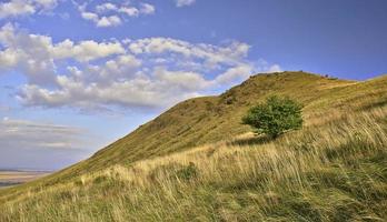 Tree and hill photo