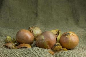 Group unpeeled onions photo