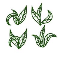 hoja de té. planta verde. conjunto de elementos naturales dibujados a mano. ilustración de dibujos animados vector
