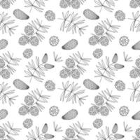 Seamless pattern with doodles of Christmas tree branches with cones vector