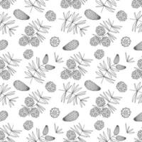 Seamless pattern with doodles of Christmas tree branches with cones vector