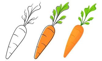 carrots with three kinds of designs vector